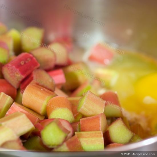 rhubarb stalks