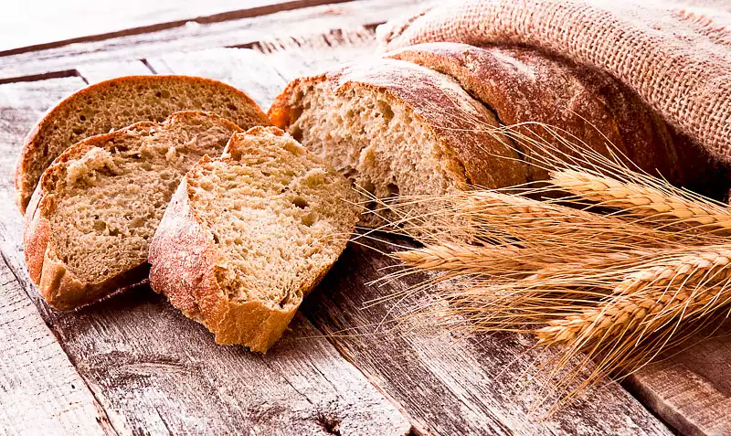 Whole Wheat Bread for the Zojirushi