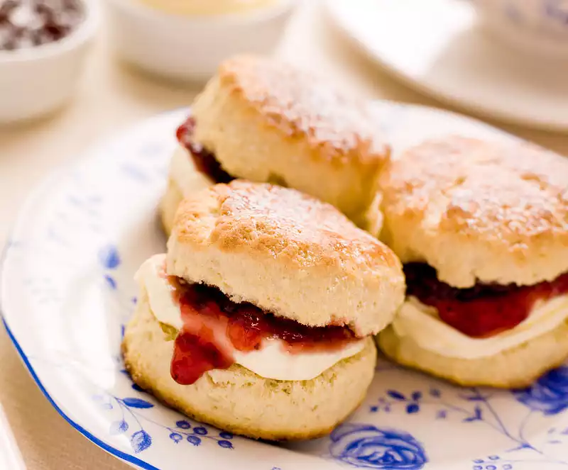 Aunt Cora's Sourdough Biscuits